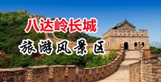 在线网页版淫水乱中国北京-八达岭长城旅游风景区